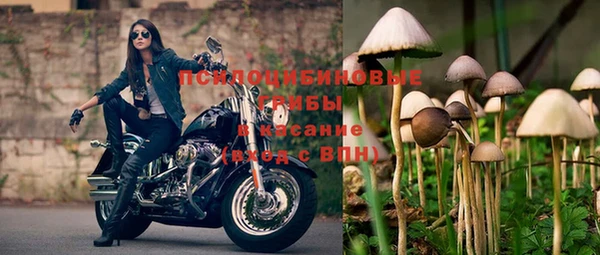 ешки Алексеевка