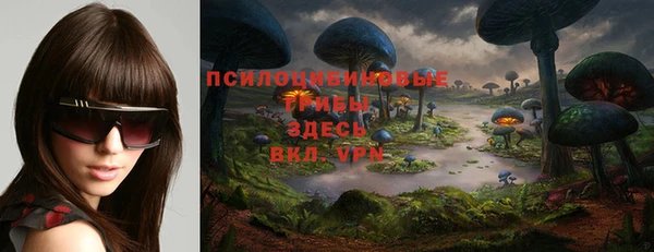 ешки Алексеевка